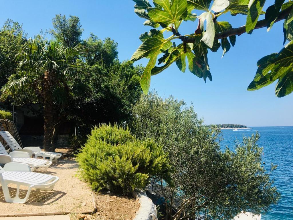 Ferienwohnung Premium Oaza Primošten Exterior foto